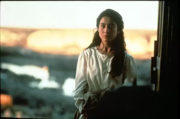 赤い薔薇ソースの伝説の画像