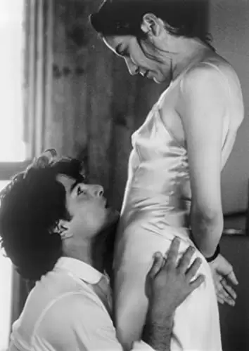 赤い薔薇ソースの伝説の画像