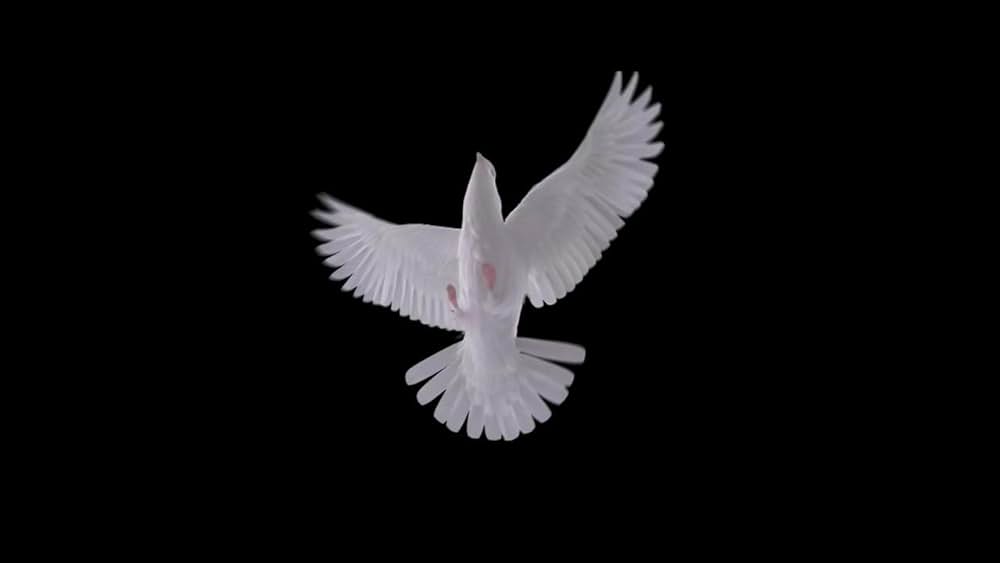 MONDAYS／このタイムループ、上司に気づかせないと終わらないの画像