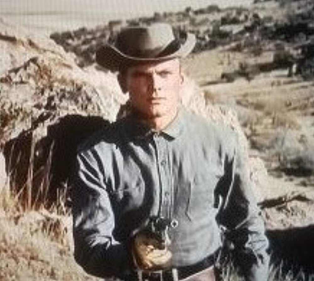 草原の野獣の画像