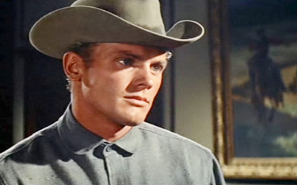 草原の野獣の画像