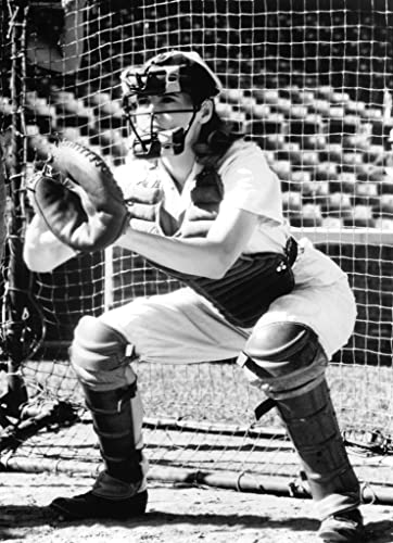 プリティ・リーグの画像