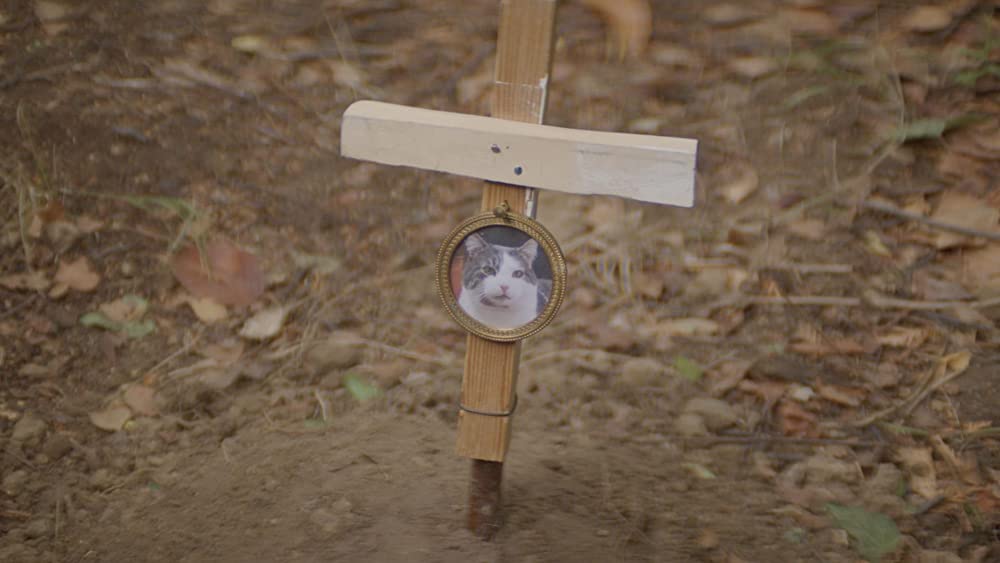 地下室のヘンな穴の画像