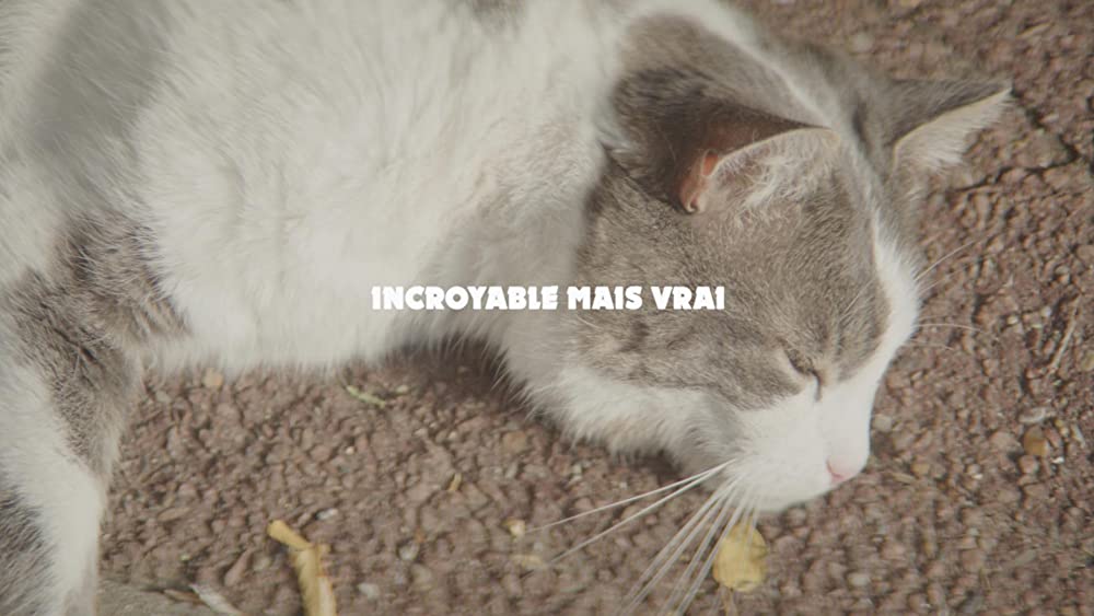 地下室のヘンな穴の画像