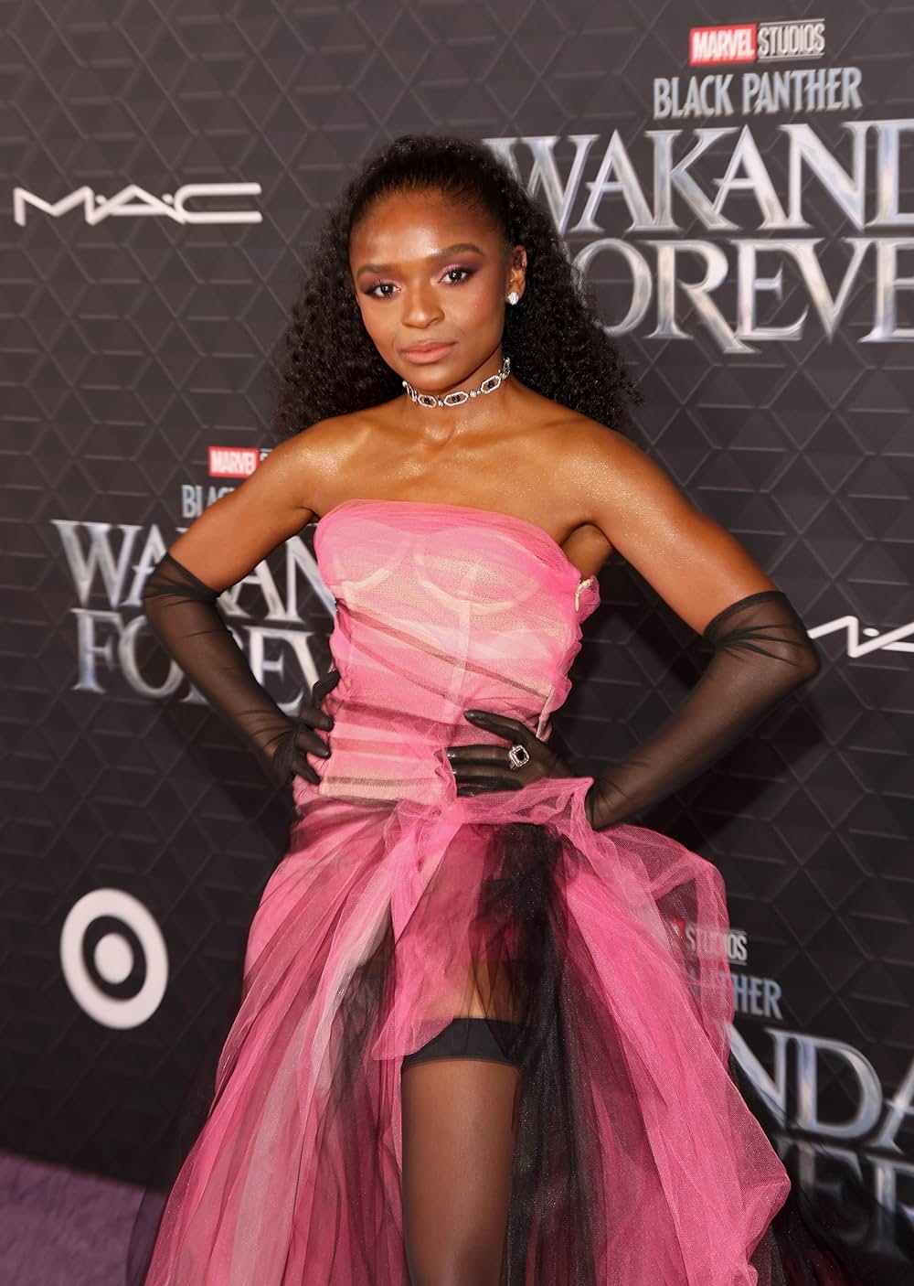 ブラックパンサー／ワカンダ・フォーエバーの画像