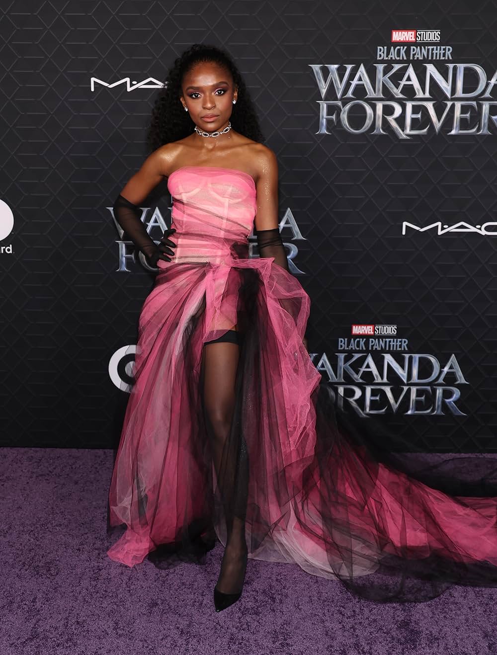 ブラックパンサー／ワカンダ・フォーエバーの画像