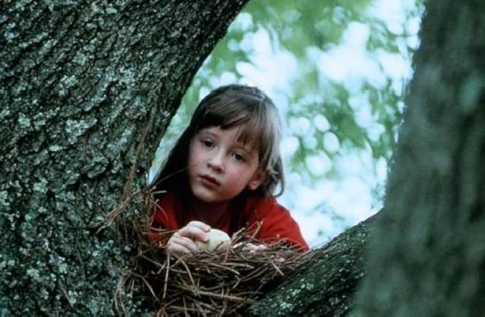 ハウス・オブ・カード～心の扉～の画像