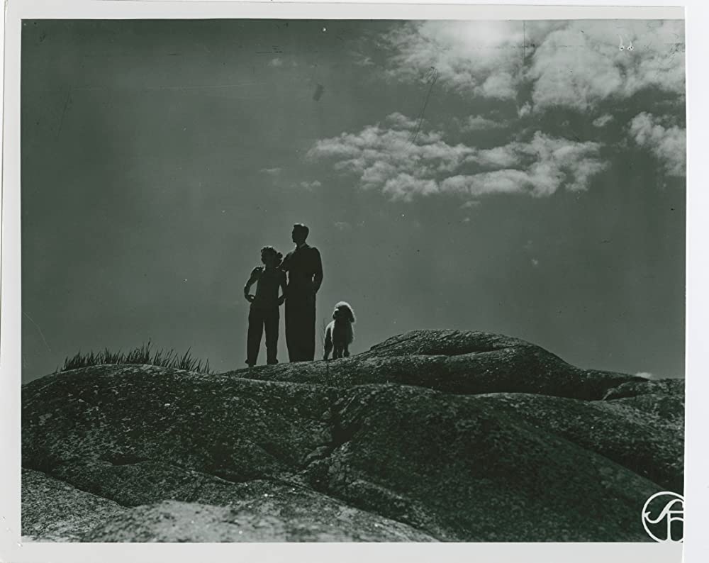 夏の遊びの画像