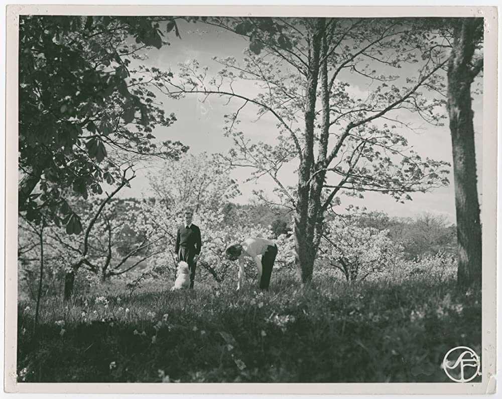 夏の遊びの画像