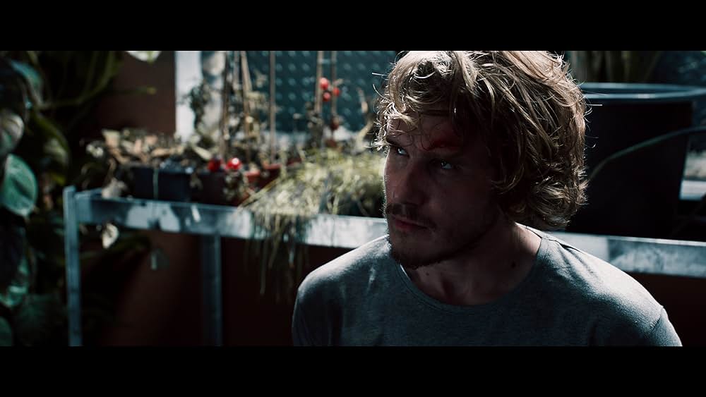 デイ・アフターの画像