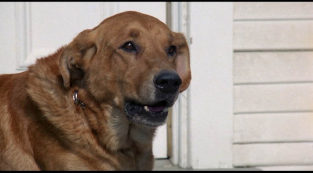 ハンターの画像