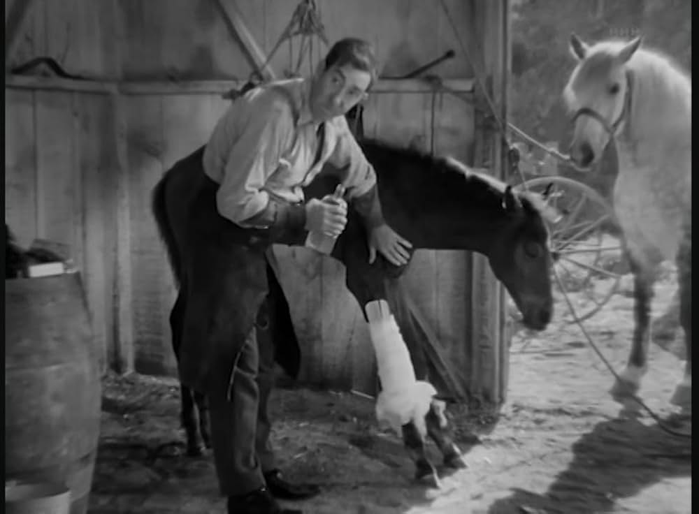 プリースト判事の画像