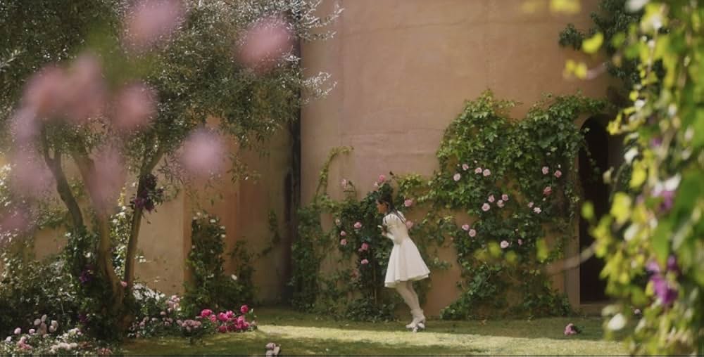 パラダイス・ヒルズの画像