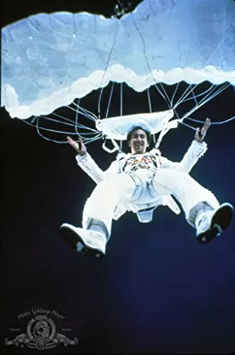 ハネムーン・イン・ベガスの画像