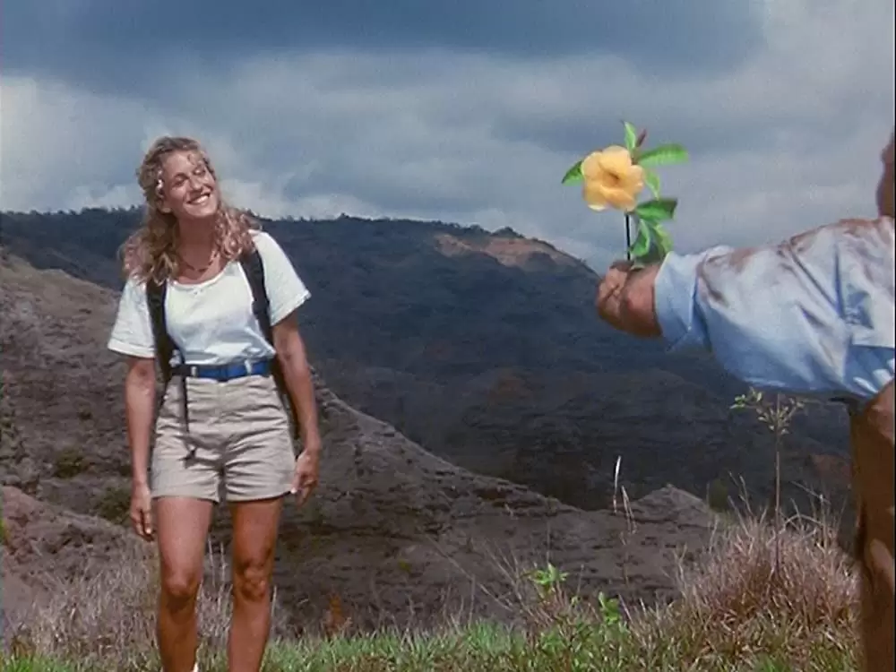 ハネムーン・イン・ベガスの画像