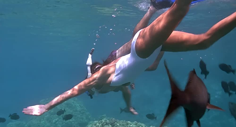 ハネムーン・イン・ベガスの画像