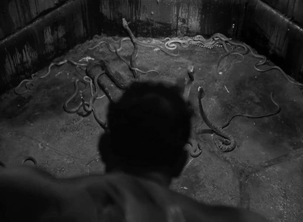 ガンガ・ディンの画像