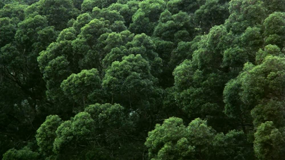 いますぐ抱きしめたいの画像