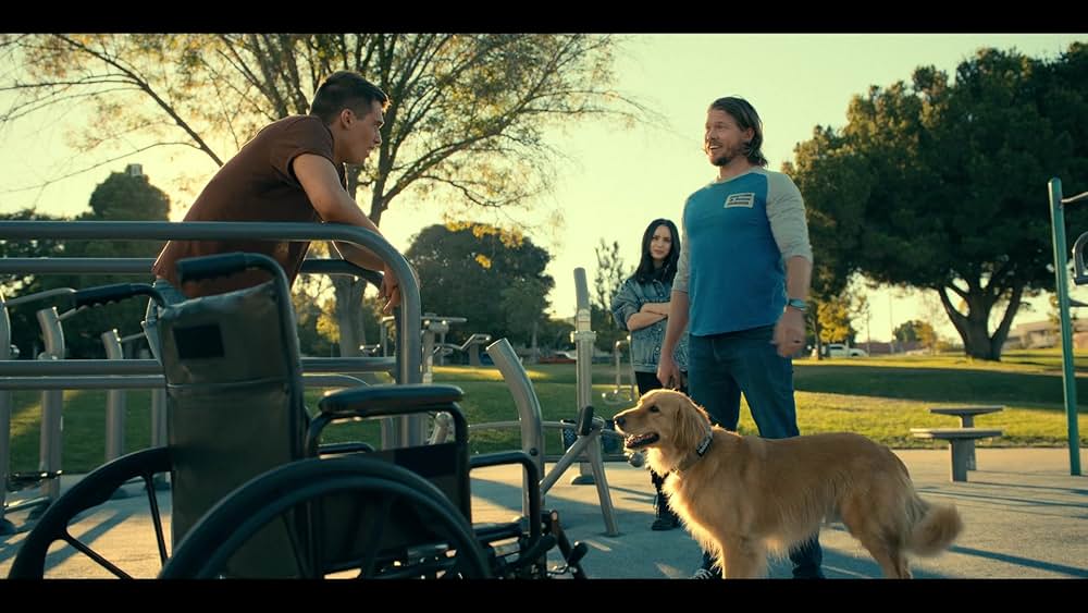 パープル・ハートの画像