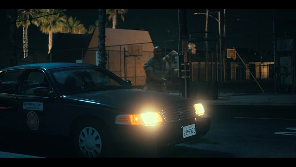 パープル・ハートの画像