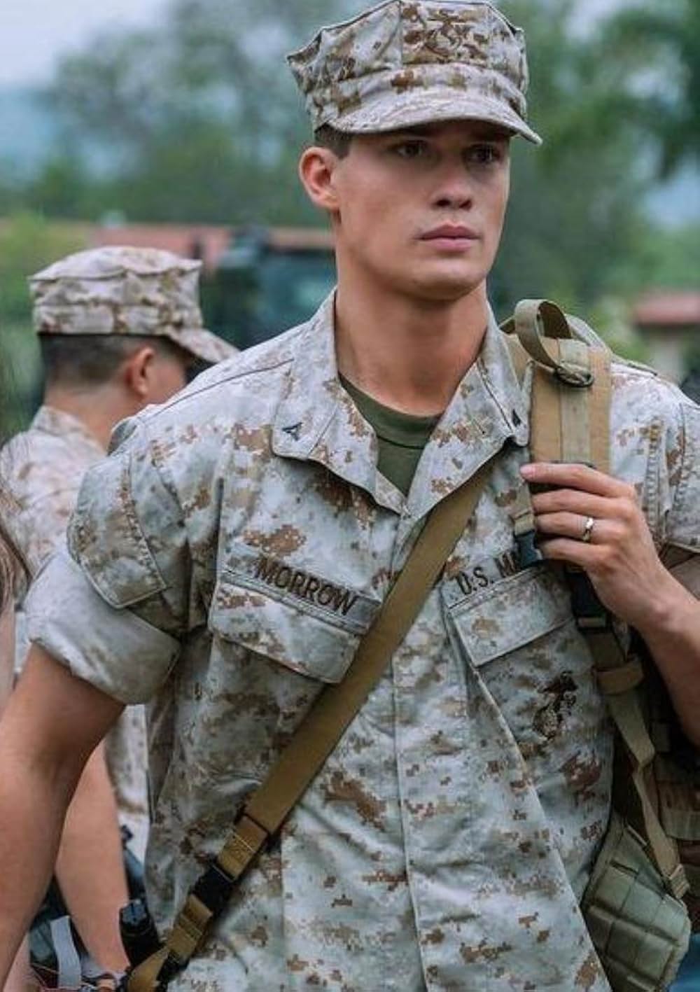 パープル・ハートの画像