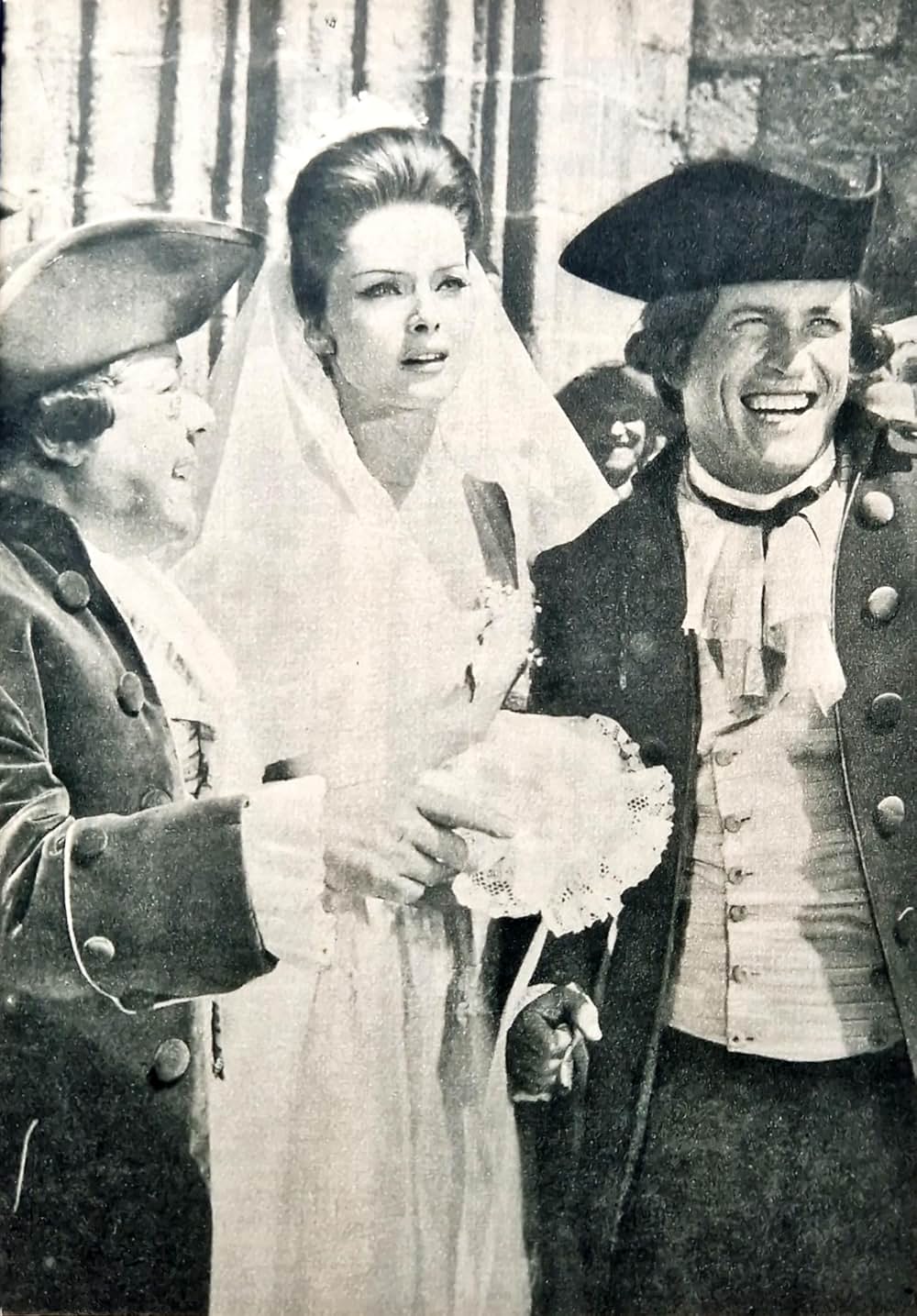 黒いチューリップの画像