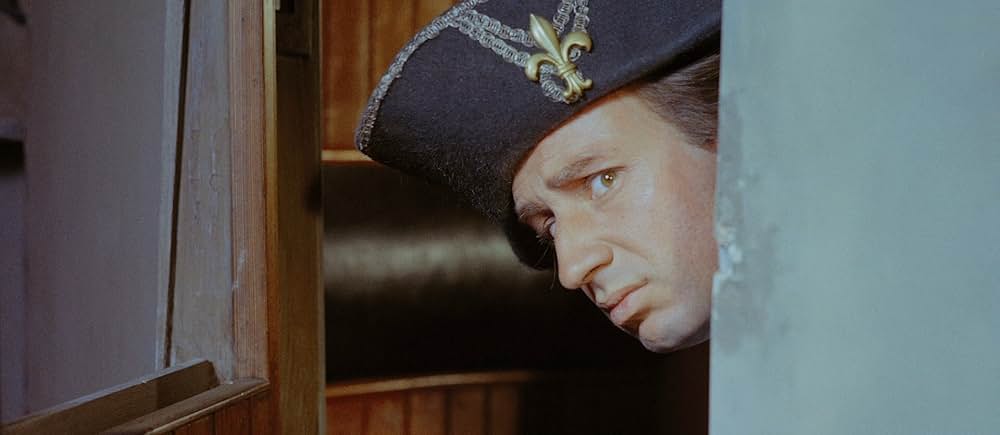 黒いチューリップの画像