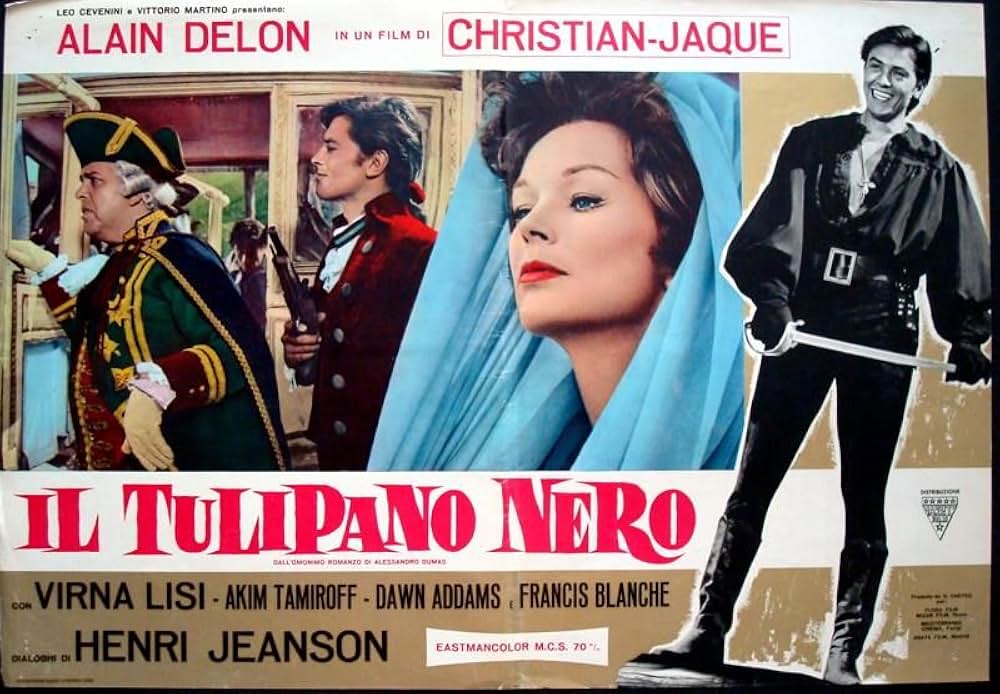 黒いチューリップの画像