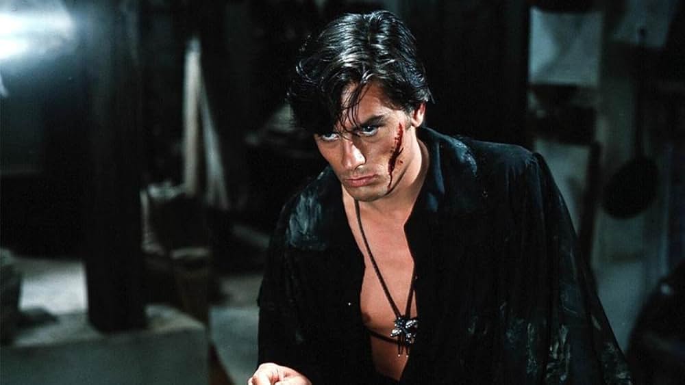 黒いチューリップの写真