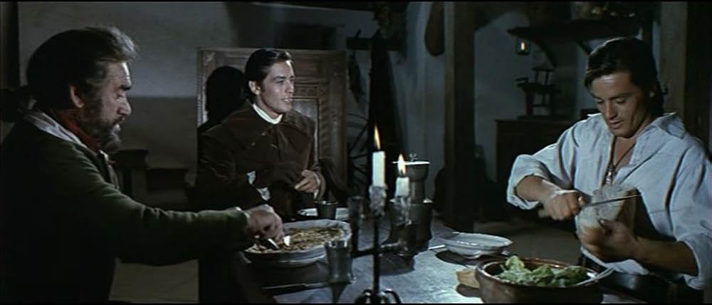 黒いチューリップの画像