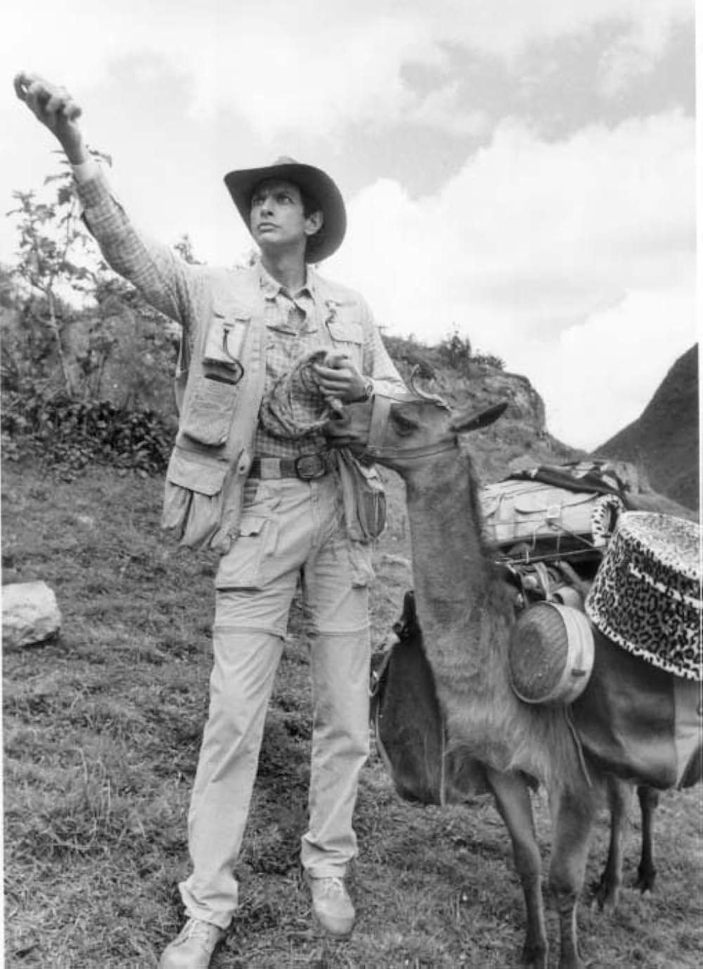 バイブス秘宝の謎の画像