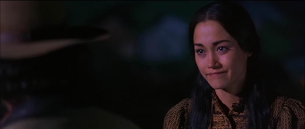 ガンスリンガーの復讐の画像