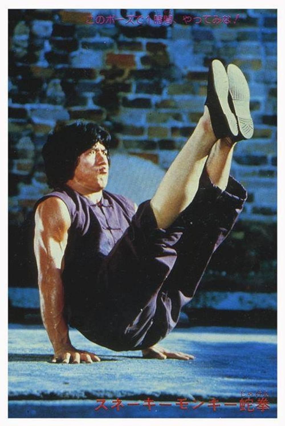 スネーキーモンキー／蛇拳の画像