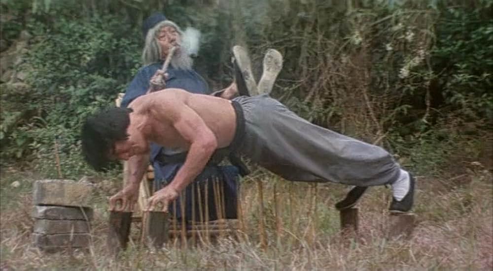 スネーキーモンキー／蛇拳の画像