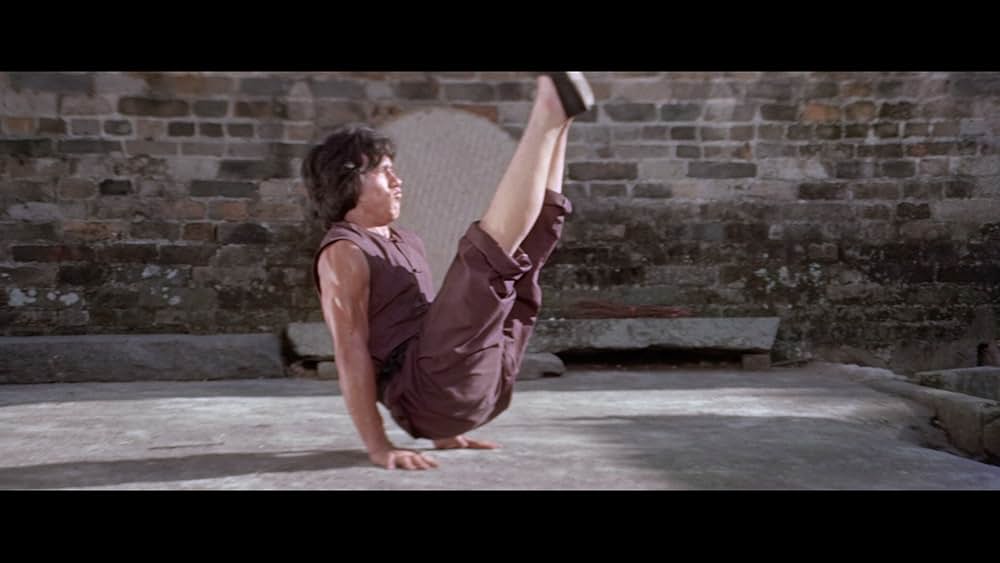 スネーキーモンキー／蛇拳の画像