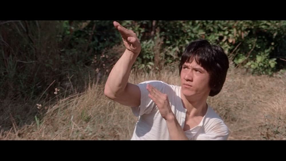 スネーキーモンキー／蛇拳の画像