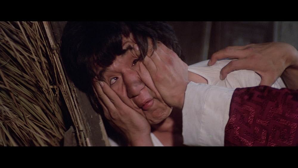 スネーキーモンキー／蛇拳の画像