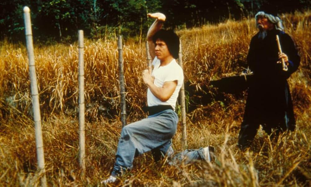 スネーキーモンキー／蛇拳の画像