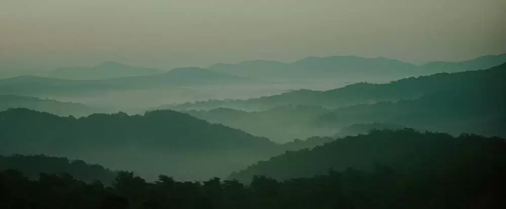 ラスト・オブ・モヒカンの画像