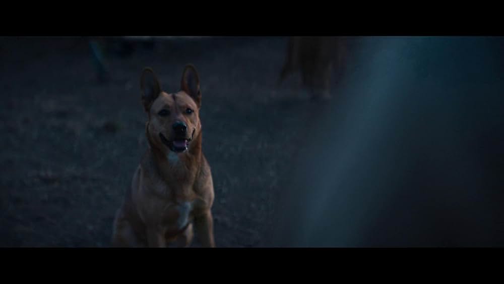 プレデター：ザ・プレイの画像