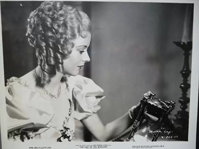 モヒカン族の最後の画像