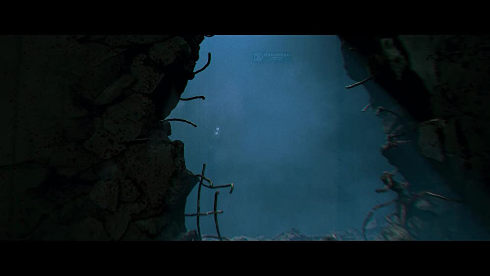 カーターの画像