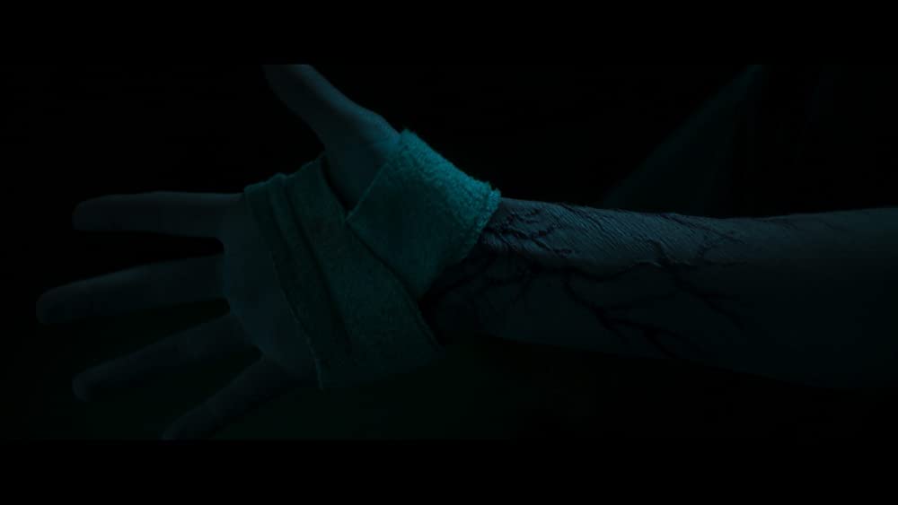 ブラッド・シップの画像