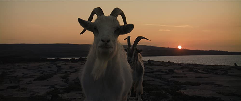 イニシェリン島の精霊の画像