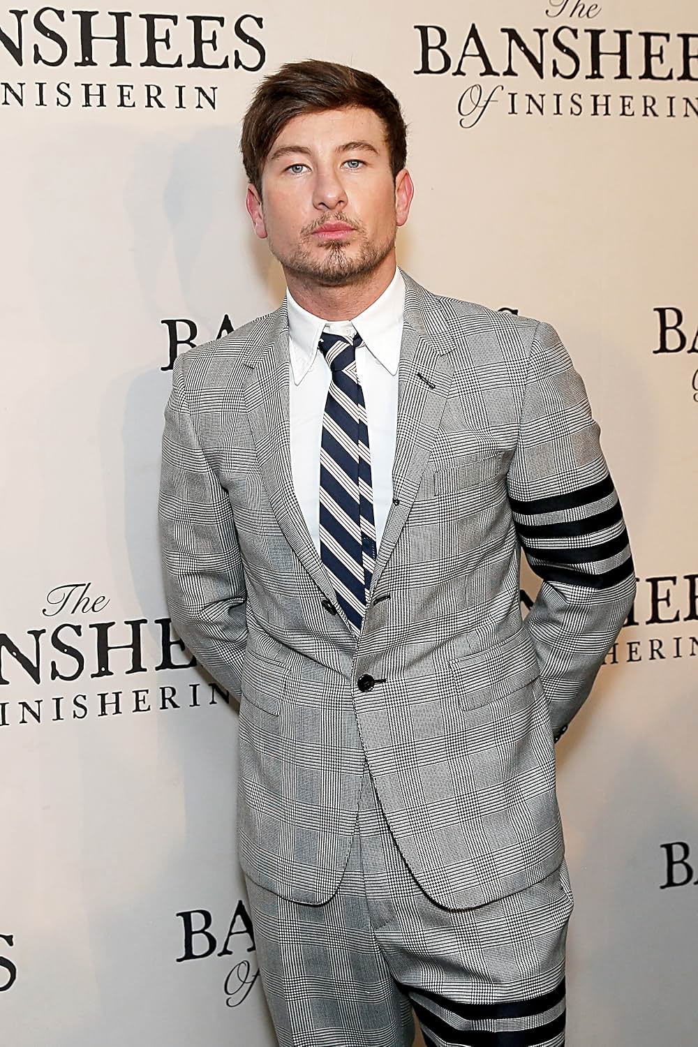 イニシェリン島の精霊の画像