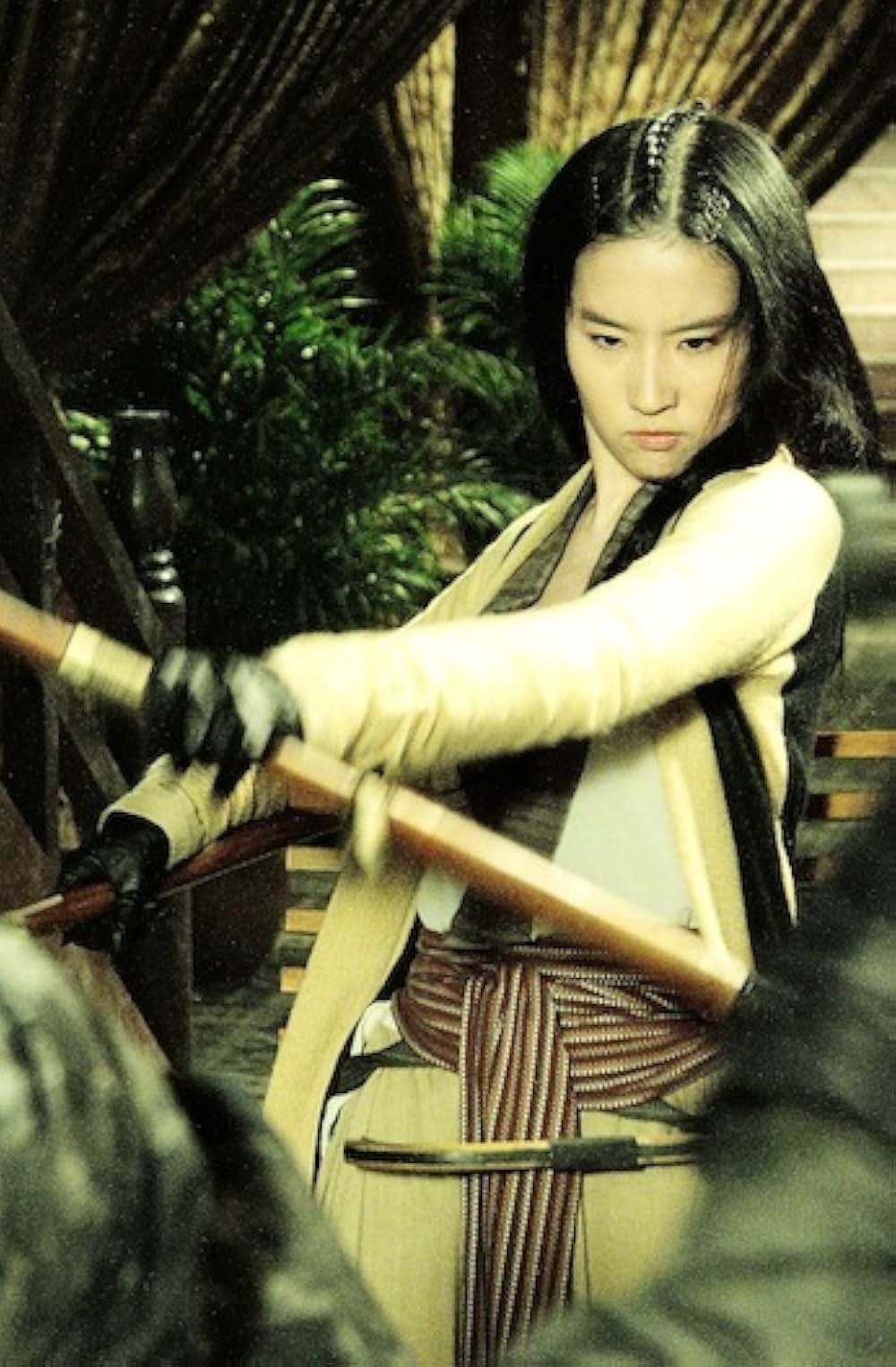 ドラゴン・フォー2 秘密の特殊捜査官 陰謀の画像