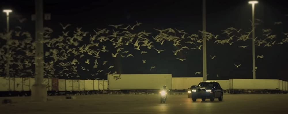 ヴァンキッシュの画像