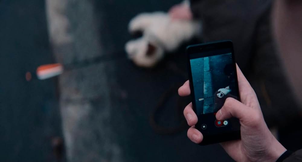 デュアルの画像