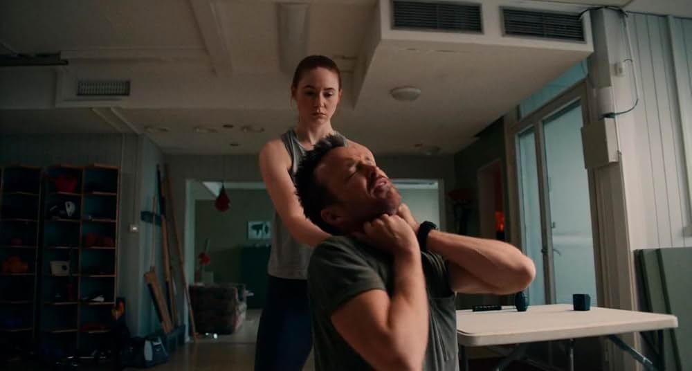 デュアルの画像