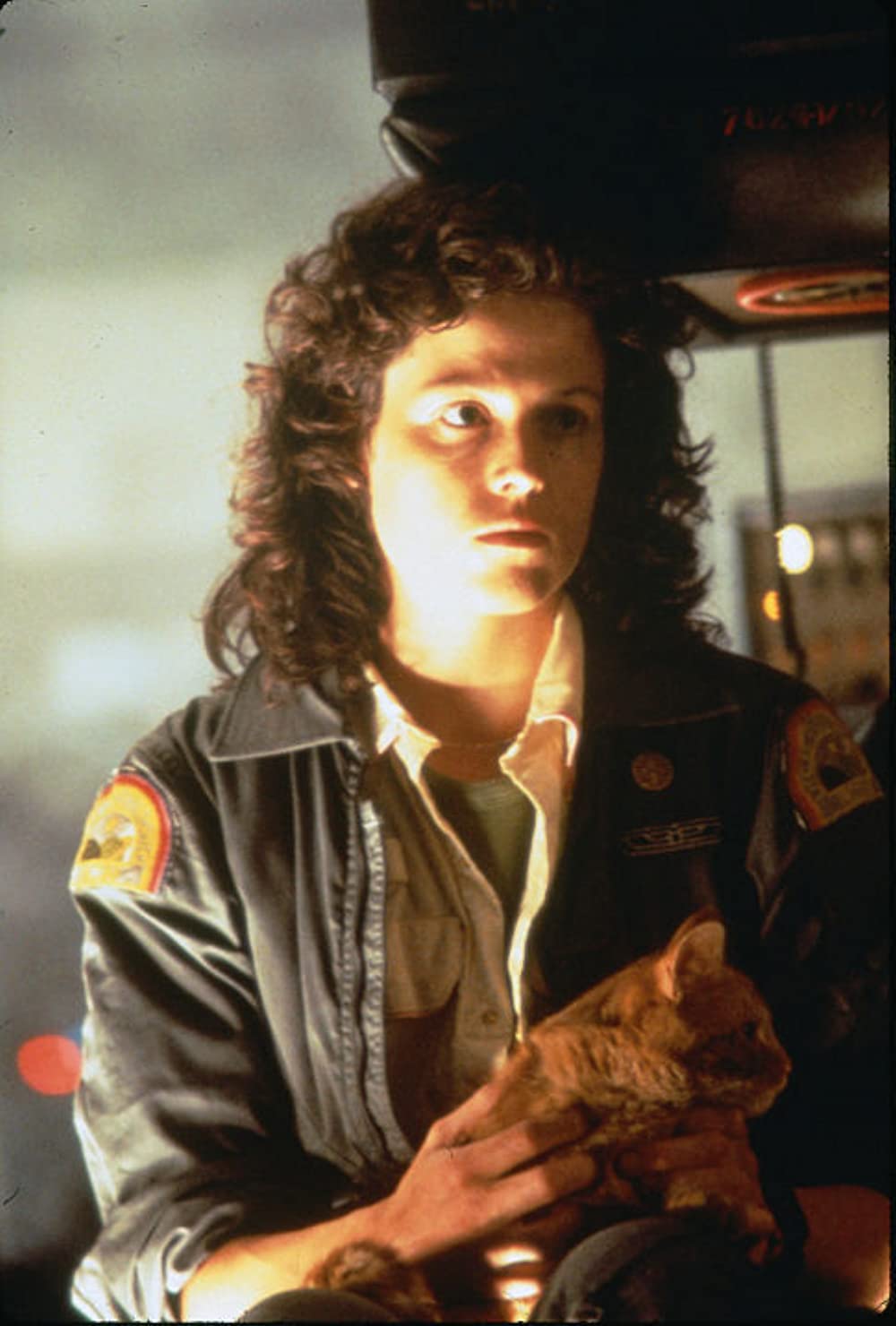 エイリアンの画像